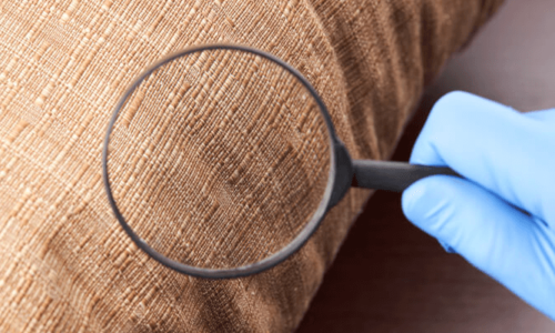 7 Consigli per Prevenire le Cimici da Letto